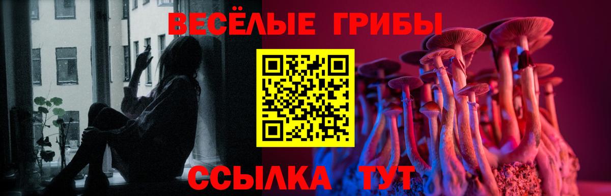 Галлюциногенные грибы Cubensis Краснокаменск